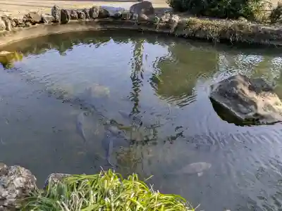 今泉神社の{uncategorized: "未分類", other: "その他", undefined: "問題あり", building: "その他建物", grave: "お墓", sacred_gate: "鳥居", guardian: "狛犬", statue: "像", buddha: "仏像", history: "歴史", nature: "自然", garden: "庭園", animal: "動物", pagoda: "塔", temizu: "手水舎", mountain_gate: "山門・神門", sanctuary: "本殿・本堂", subordinate: "末社・摂社", art: "芸術", scenery: "景色", jizo: "地蔵", ema: "絵馬", goshuin: "御朱印", omikuji: "おみくじ", items: "授与品その他", amulet: "お守り", goshuincho: "御朱印帳", eats: "食事", festival: "お祭り", votive_dance: "神楽", shichigosan: "七五三参", wedding: "結婚式", experience: "体験その他", initially: "初詣", around: "周辺", anti_infection: "感染症対策"}