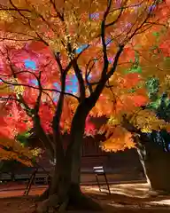 滑川神社 - 仕事と子どもの守り神の自然