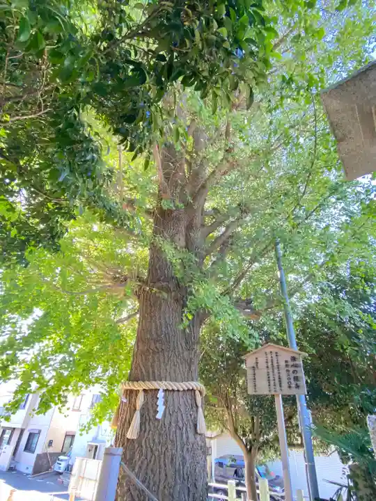 鹿嶋神社の自然