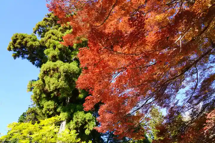 國魂神社の自然