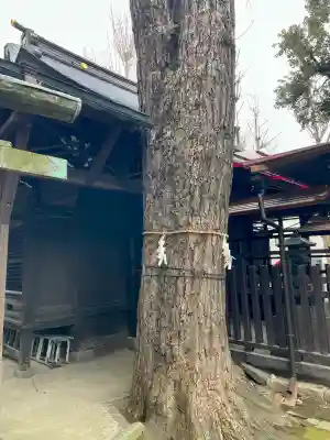 橋戸稲荷神社(東京都)