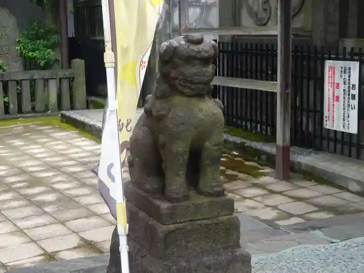 高輪神社の狛犬
