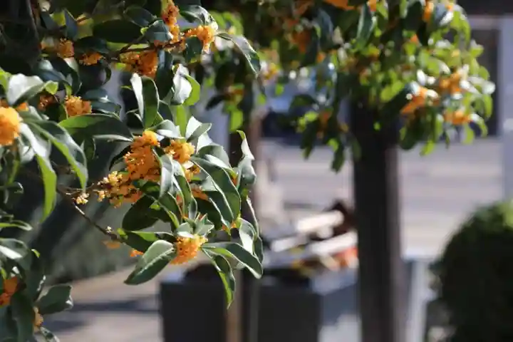 豊景神社の庭園