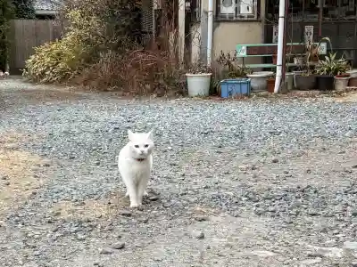 神咒寺の{uncategorized: "未分類", other: "その他", undefined: "問題あり", building: "その他建物", grave: "お墓", sacred_gate: "鳥居", guardian: "狛犬", statue: "像", buddha: "仏像", history: "歴史", nature: "自然", garden: "庭園", animal: "動物", pagoda: "塔", temizu: "手水舎", mountain_gate: "山門・神門", sanctuary: "本殿・本堂", subordinate: "末社・摂社", art: "芸術", scenery: "景色", jizo: "地蔵", ema: "絵馬", goshuin: "御朱印", omikuji: "おみくじ", items: "授与品その他", amulet: "お守り", goshuincho: "御朱印帳", eats: "食事", festival: "お祭り", votive_dance: "神楽", shichigosan: "七五三参", wedding: "結婚式", experience: "体験その他", initially: "初詣", around: "周辺", anti_infection: "感染症対策"}