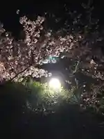 池上本門寺(東京都)