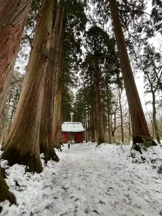 戸隠神社奥社(長野県)