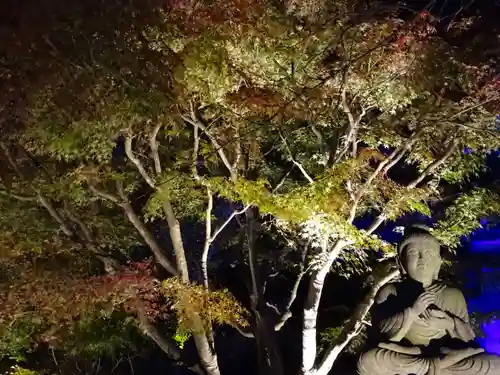 長谷寺(神奈川県)