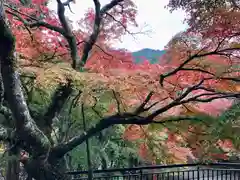 談山神社(奈良県)