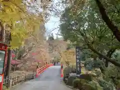 今熊野観音寺(京都府)