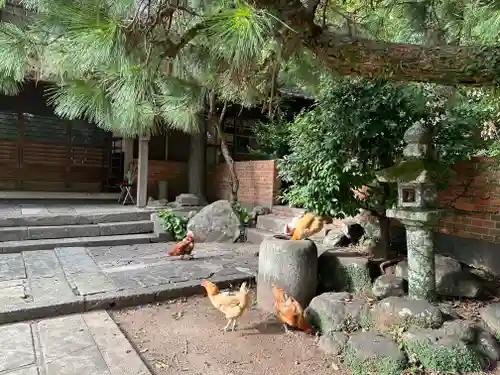 松森天満宮(長崎県)