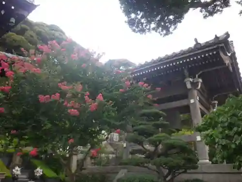 長谷寺のその他建物