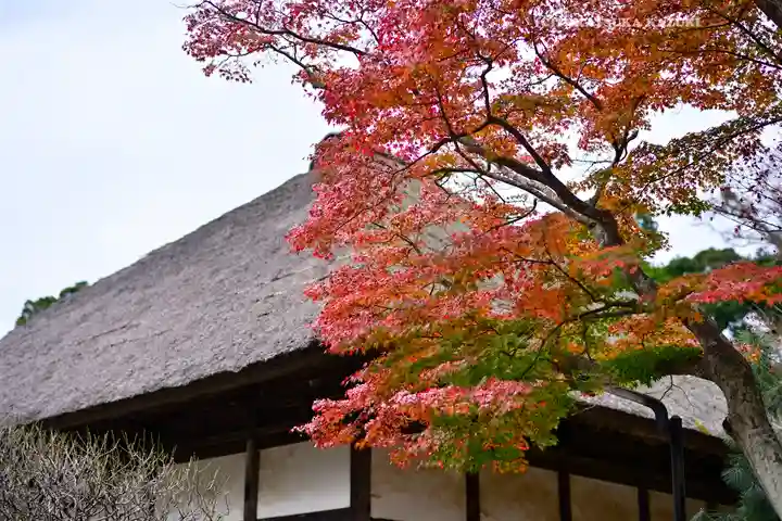 円覚寺(神奈川県)