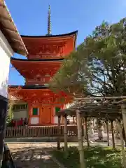 宝厳寺の塔