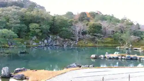 天龍寺の庭園