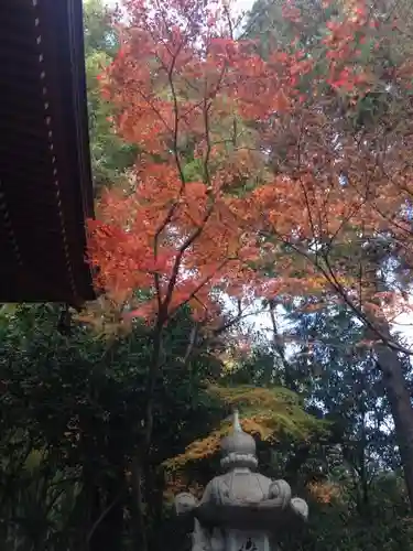 大正寺の庭園