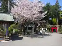 亀ケ池八幡宮のその他建物