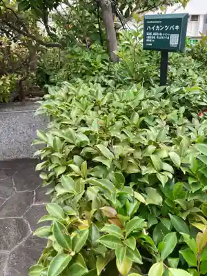 稲荷大明神（そごう横浜店・屋上）(神奈川県)