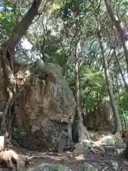 渭伊神社の自然