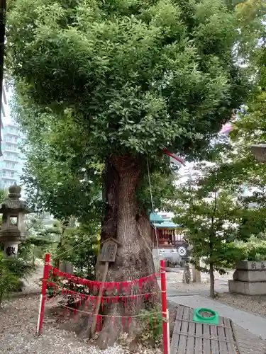 三輪神社のその他建物
