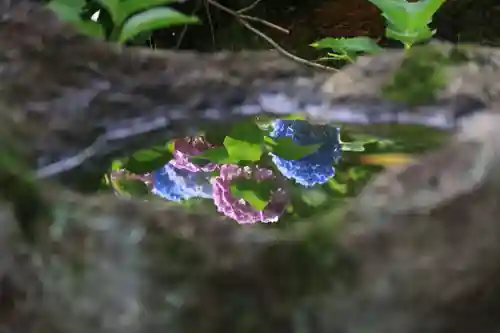 三春駒神社の手水舎