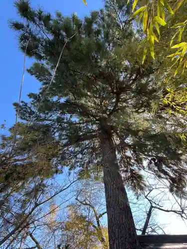前橋東照宮(群馬県)