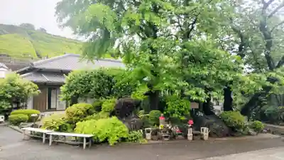 養源寺(東京都)