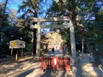 岩槻久伊豆神社の鳥居
