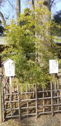 一言主神社の自然