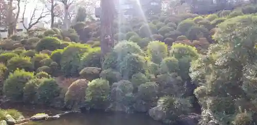 根津神社の庭園