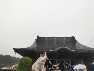 長福寿寺の本殿・本堂