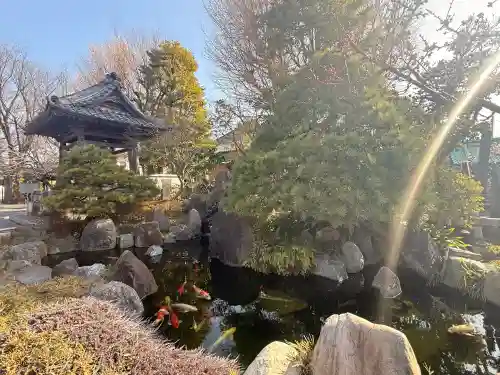 大蓮寺の{uncategorized: "未分類", other: "その他", undefined: "問題あり", building: "その他建物", grave: "お墓", sacred_gate: "鳥居", guardian: "狛犬", statue: "像", buddha: "仏像", history: "歴史", nature: "自然", garden: "庭園", animal: "動物", pagoda: "塔", temizu: "手水舎", mountain_gate: "山門・神門", sanctuary: "本殿・本堂", subordinate: "末社・摂社", art: "芸術", scenery: "景色", jizo: "地蔵", ema: "絵馬", goshuin: "御朱印", omikuji: "おみくじ", items: "授与品その他", amulet: "お守り", goshuincho: "御朱印帳", eats: "食事", festival: "お祭り", votive_dance: "神楽", shichigosan: "七五三参", wedding: "結婚式", experience: "体験その他", initially: "初詣", around: "周辺", anti_infection: "感染症対策"}