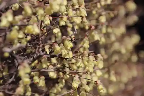 滑川神社 - 仕事と子どもの守り神の自然