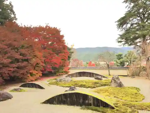 実相院門跡の庭園