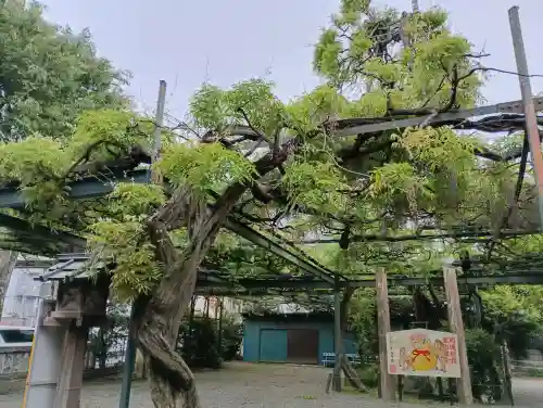 國領神社(東京都)