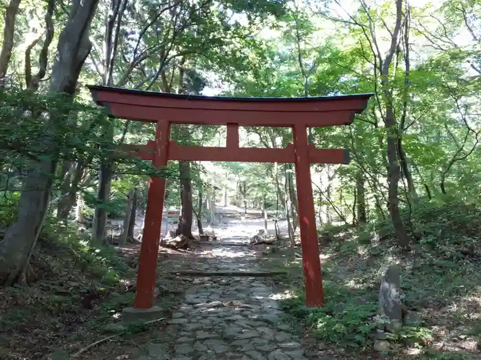 赤神神社の鳥居