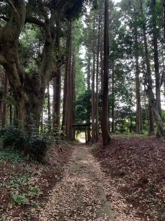 諏訪神社(千葉県)
