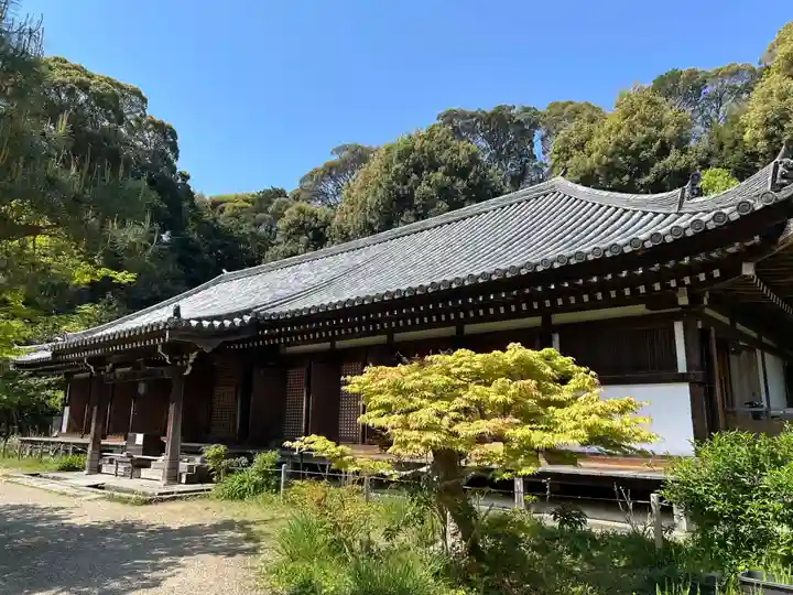 浄瑠璃寺(京都府)