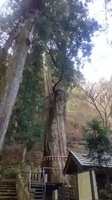 青玉神社(兵庫県)