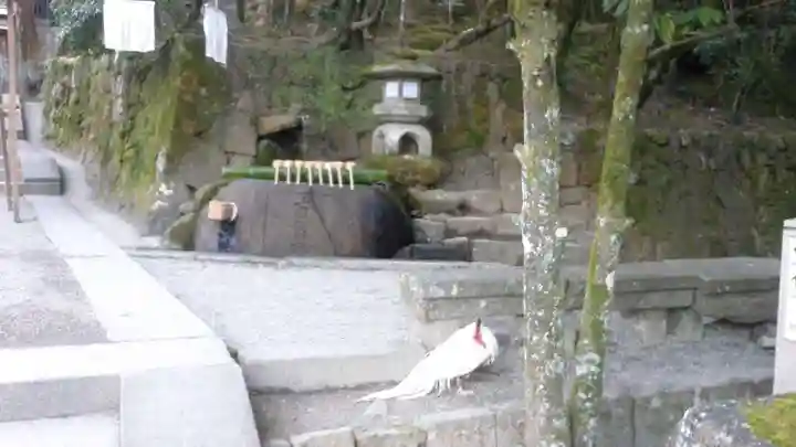 石上神宮の動物