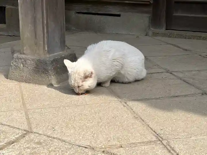 雀神社(茨城県)