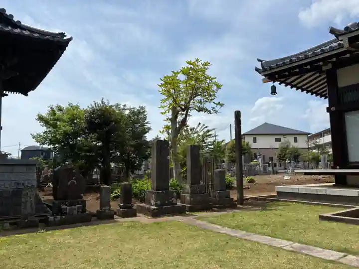 妙蓮寺(千葉県)