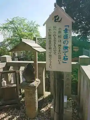毛谷黒龍神社(福井県)