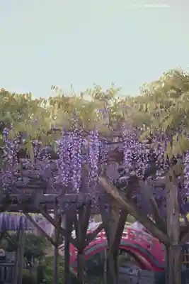 亀戸天神社(東京都)