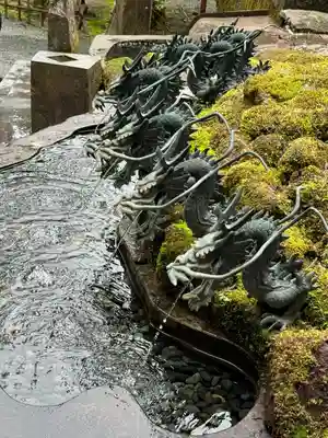 九頭龍神社新宮(神奈川県)
