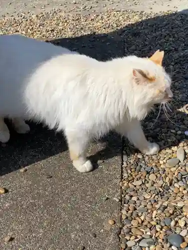 鎌数伊勢大神宮の動物