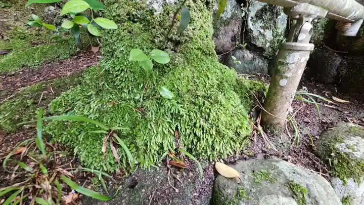 玉作湯神社(島根県)