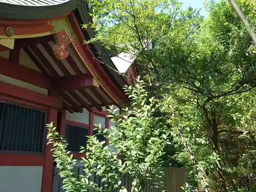 前川神社の本殿