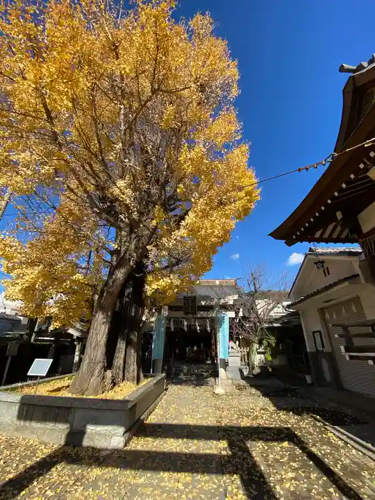 飛木稲荷神社(東京都)