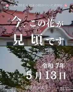 宝光寺(北海道)(2025年05月13日(火) 07時54分32秒投稿)