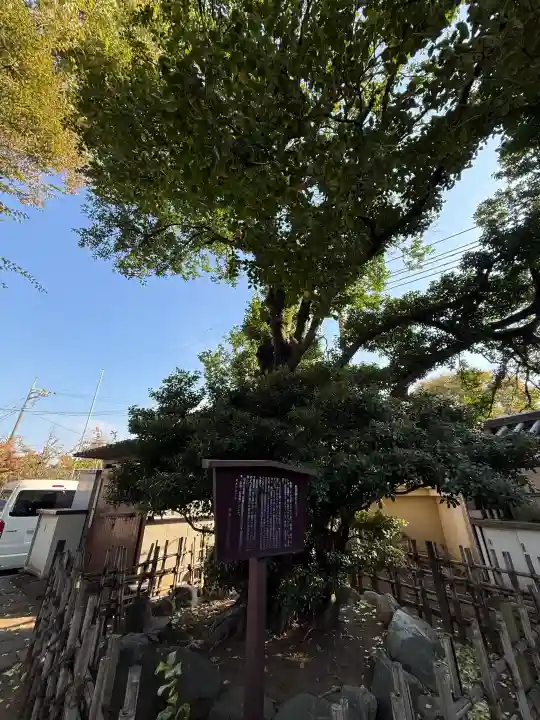 松月院の{uncategorized: "未分類", other: "その他", undefined: "問題あり", building: "その他建物", grave: "お墓", sacred_gate: "鳥居", guardian: "狛犬", statue: "像", buddha: "仏像", history: "歴史", nature: "自然", garden: "庭園", animal: "動物", pagoda: "塔", temizu: "手水舎", mountain_gate: "山門・神門", sanctuary: "本殿・本堂", subordinate: "末社・摂社", art: "芸術", scenery: "景色", jizo: "地蔵", ema: "絵馬", goshuin: "御朱印", omikuji: "おみくじ", items: "授与品その他", amulet: "お守り", goshuincho: "御朱印帳", eats: "食事", festival: "お祭り", votive_dance: "神楽", shichigosan: "七五三参", wedding: "結婚式", experience: "体験その他", initially: "初詣", around: "周辺", anti_infection: "感染症対策"}